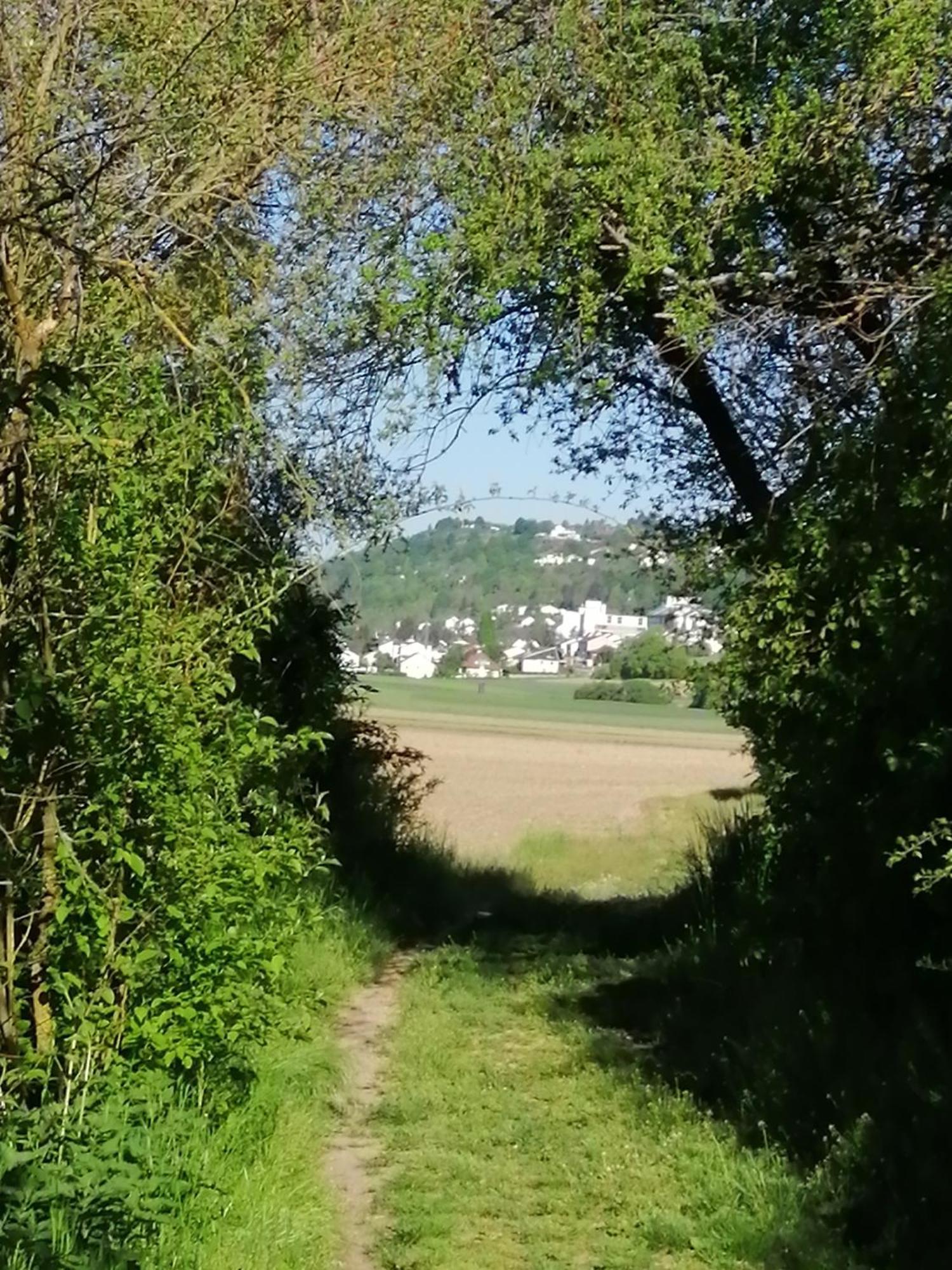 Ferienwohnungen Stark Kelheim Exterior photo